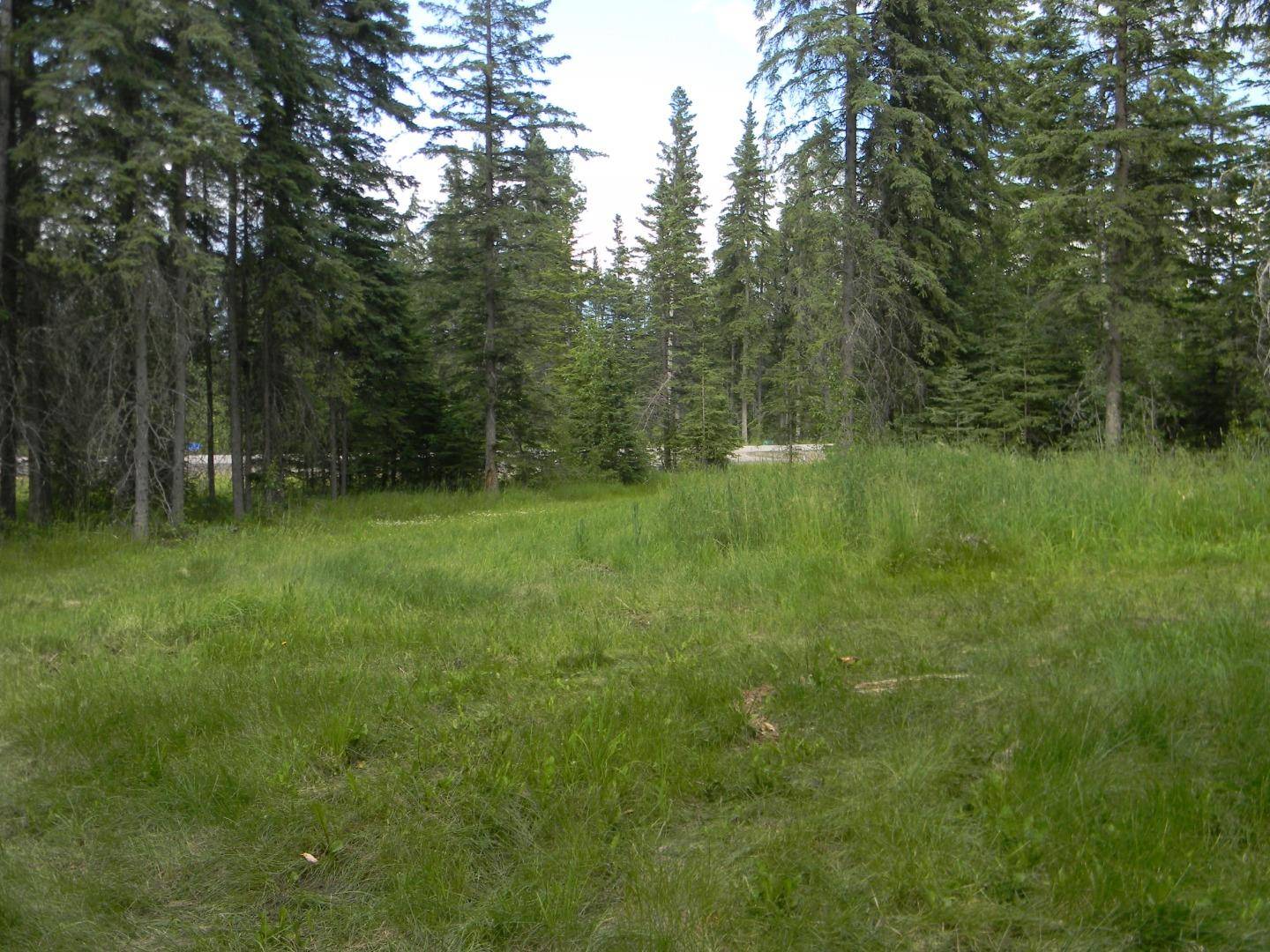 Rural Clearwater County, AB T4T 1A7,131 Meadow Ponds DR