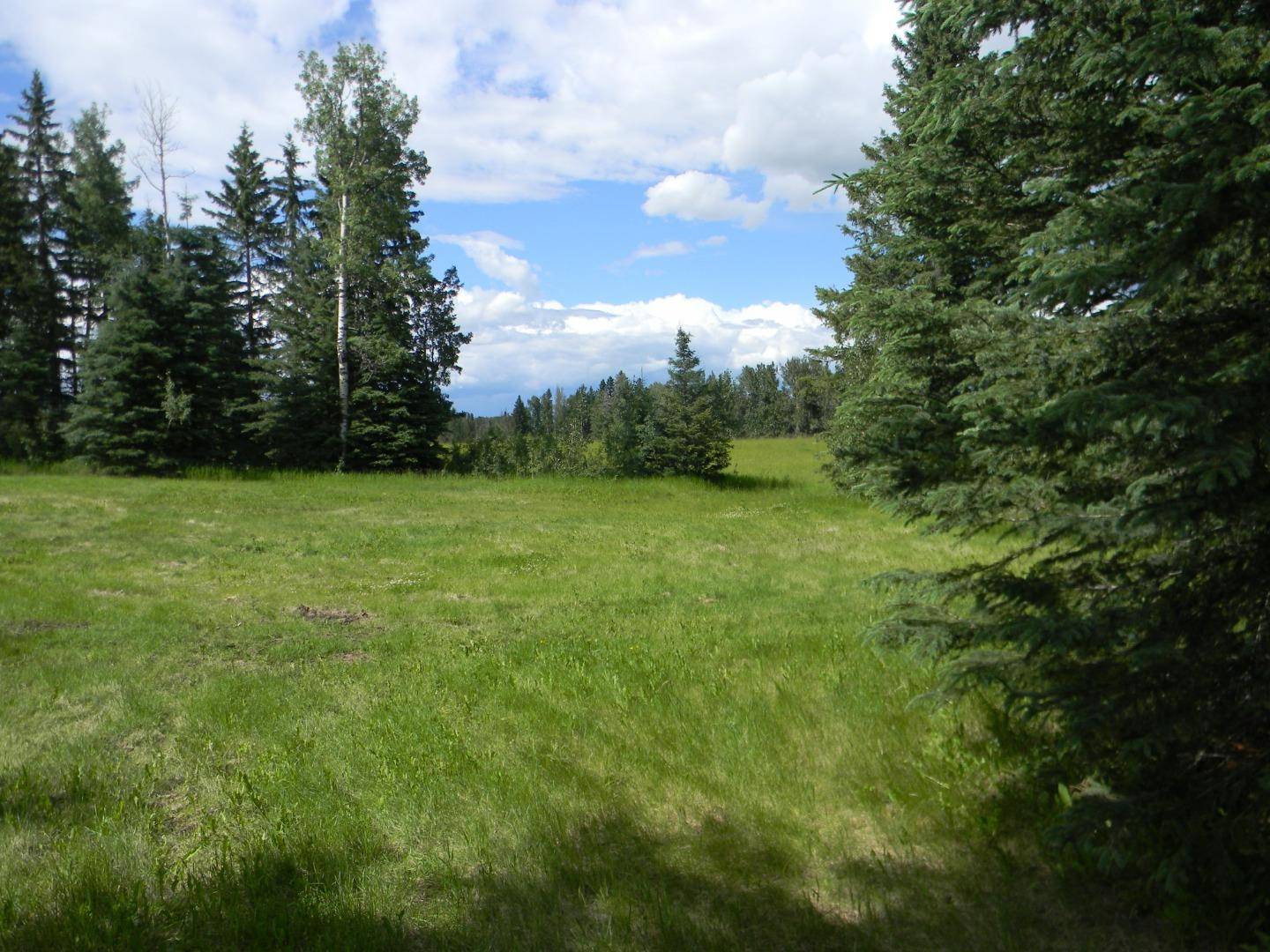 Rural Clearwater County, AB T4T 1A7,120 Meadow Ponds DR