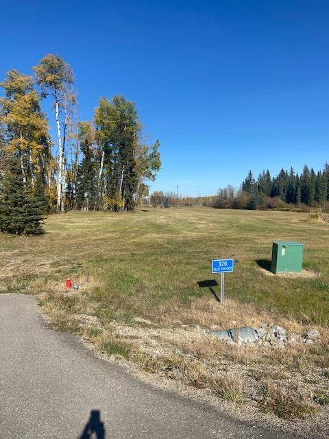 Rural Clearwater County, AB T4T 1A7,316 Valley View DR