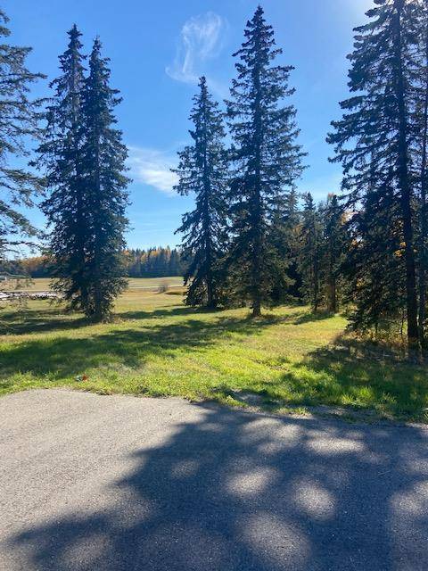 Rural Clearwater County, AB T4T1A7,309 Valley View DR