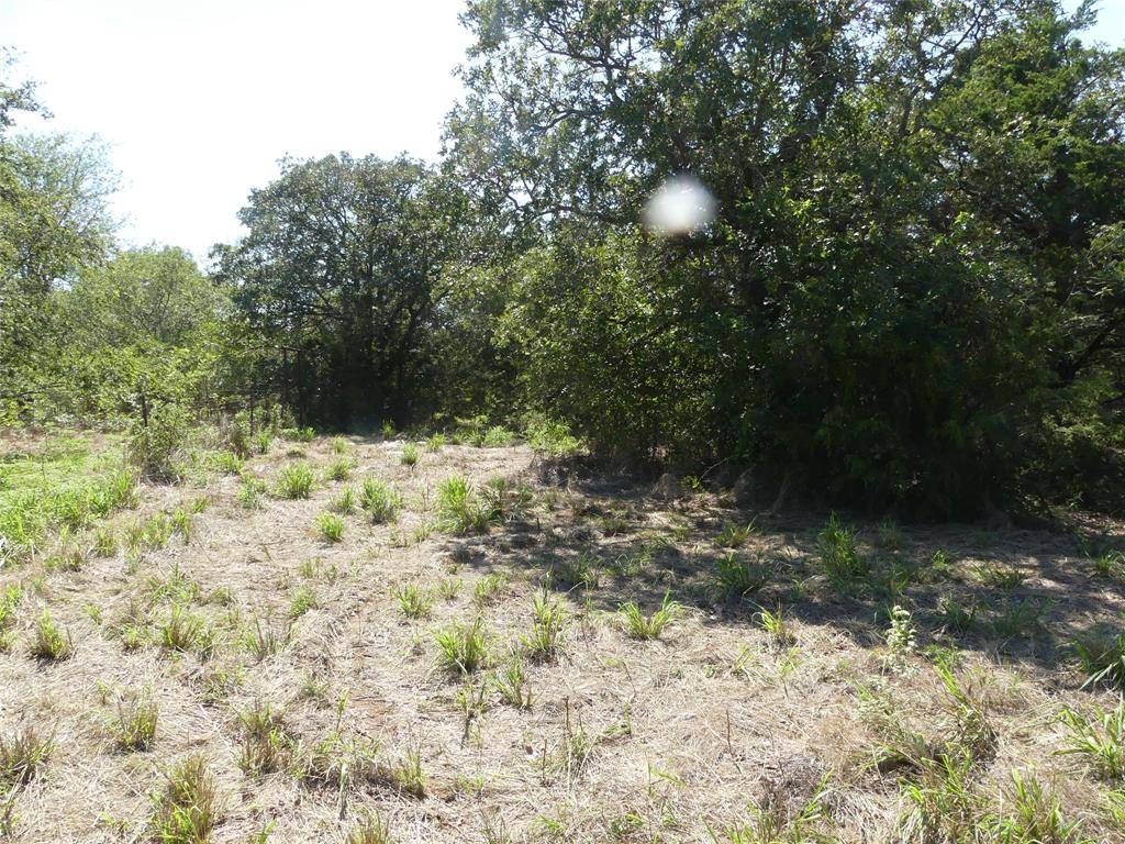 Forestburg, TX 76239,001 Boyd Road