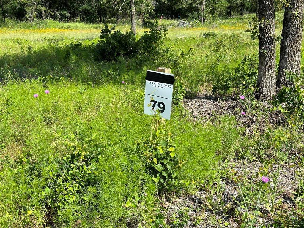 Perrin, TX 76486,Lot 79 Paradise Oaks