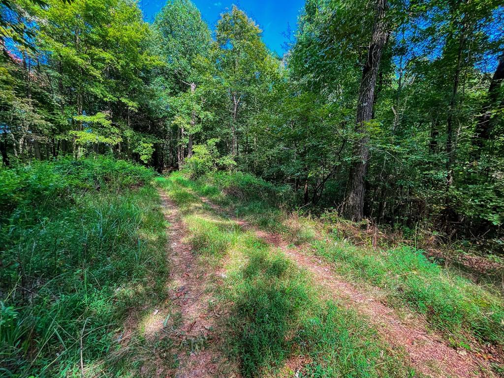 Ellijay, GA 30540,241 AC Legion Road