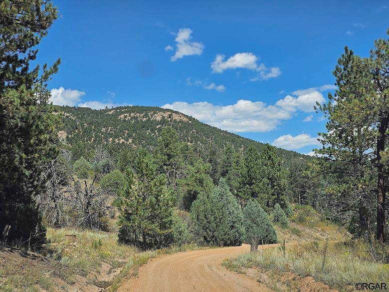 Cotopaxi, CO 81223,73 Alpine Way