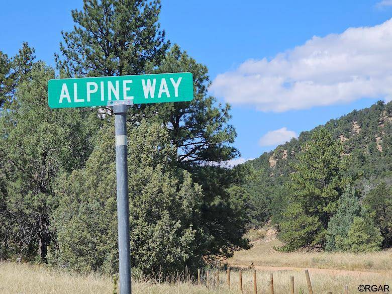 Cotopaxi, CO 81223,73 Alpine Way