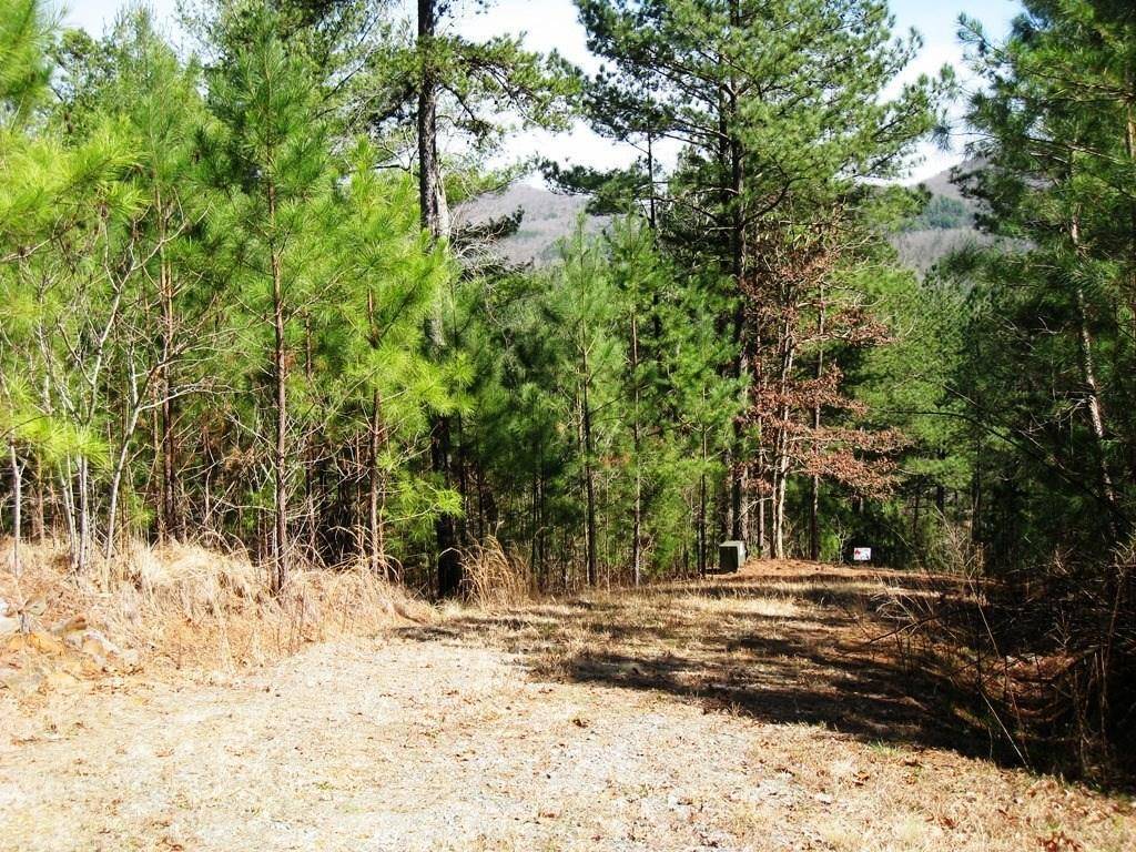 Murphy, NC 28906,Lot 41 Eagles Landing