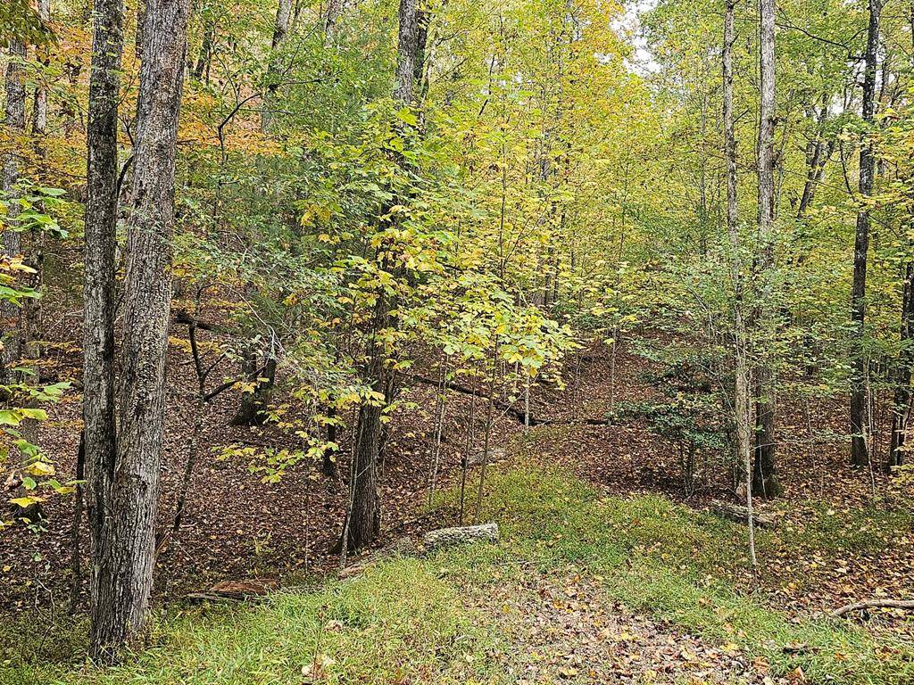 Murphy, NC 28906,Lot 12 Bourne Dr