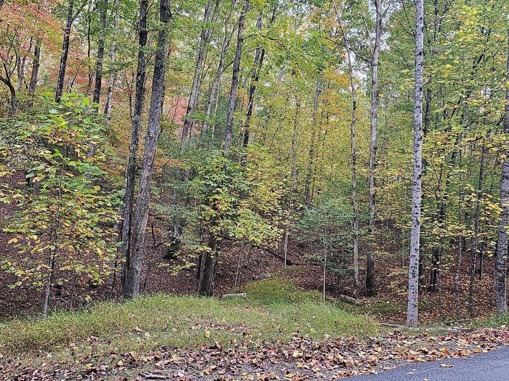 Murphy, NC 28906,Lot 12 Bourne Dr