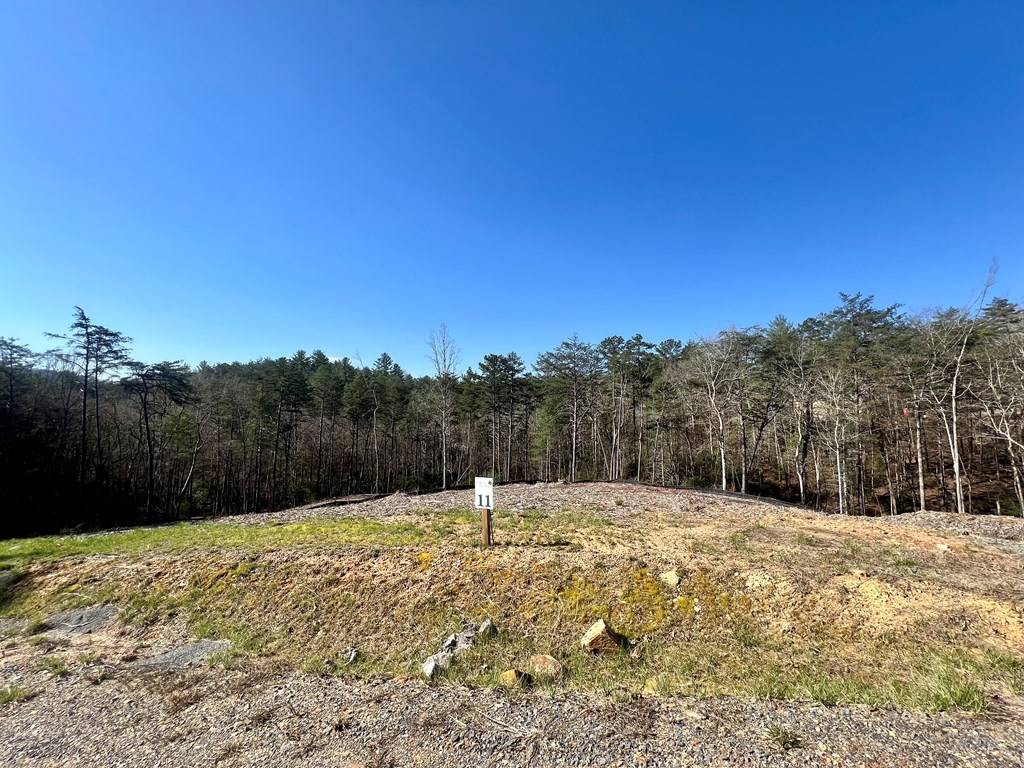 Mineral Bluff, GA 30559,Lot 11 Mountain Laurel Ridge