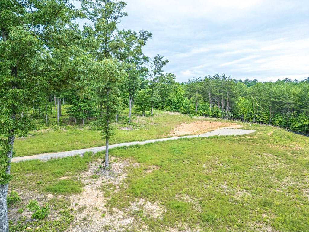 Blairsville, GA 30512,Lot 51 Hidden Harbor