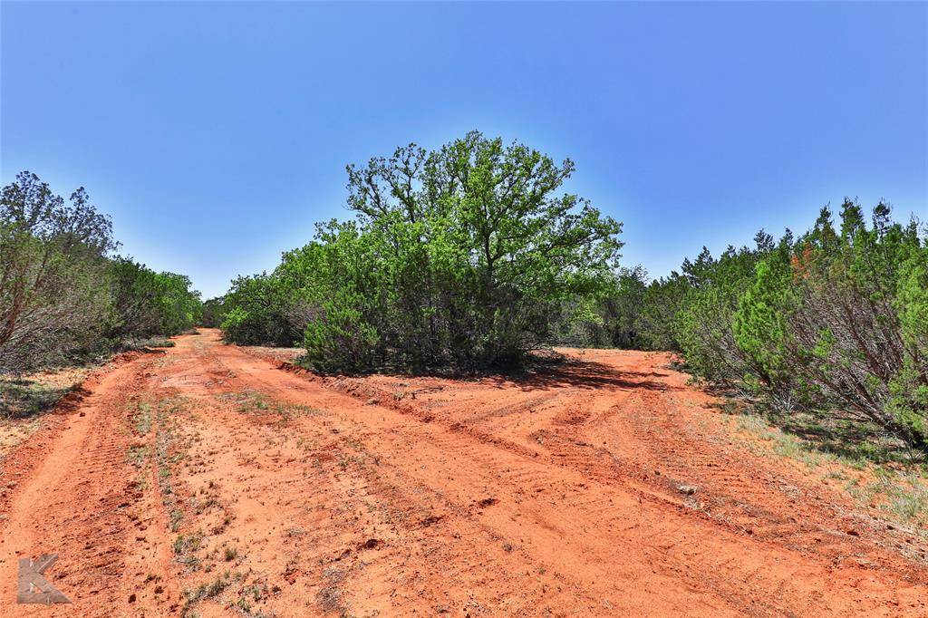 Ovalo, TX 79541,TBD CR 207