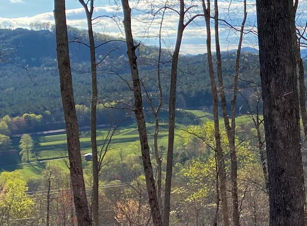 Blairsville, GA 30512,Lot 49 Winding Ridge