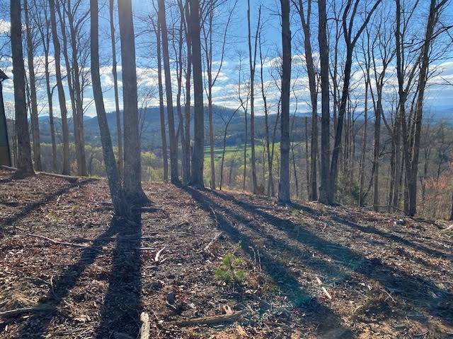 Blairsville, GA 30512,Lot 49 Winding Ridge