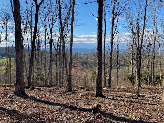 Blairsville, GA 30512,Lot 49 Winding Ridge