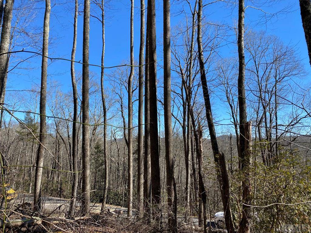 Cashiers, NC 28717,Lot 9 GlenCove Drive