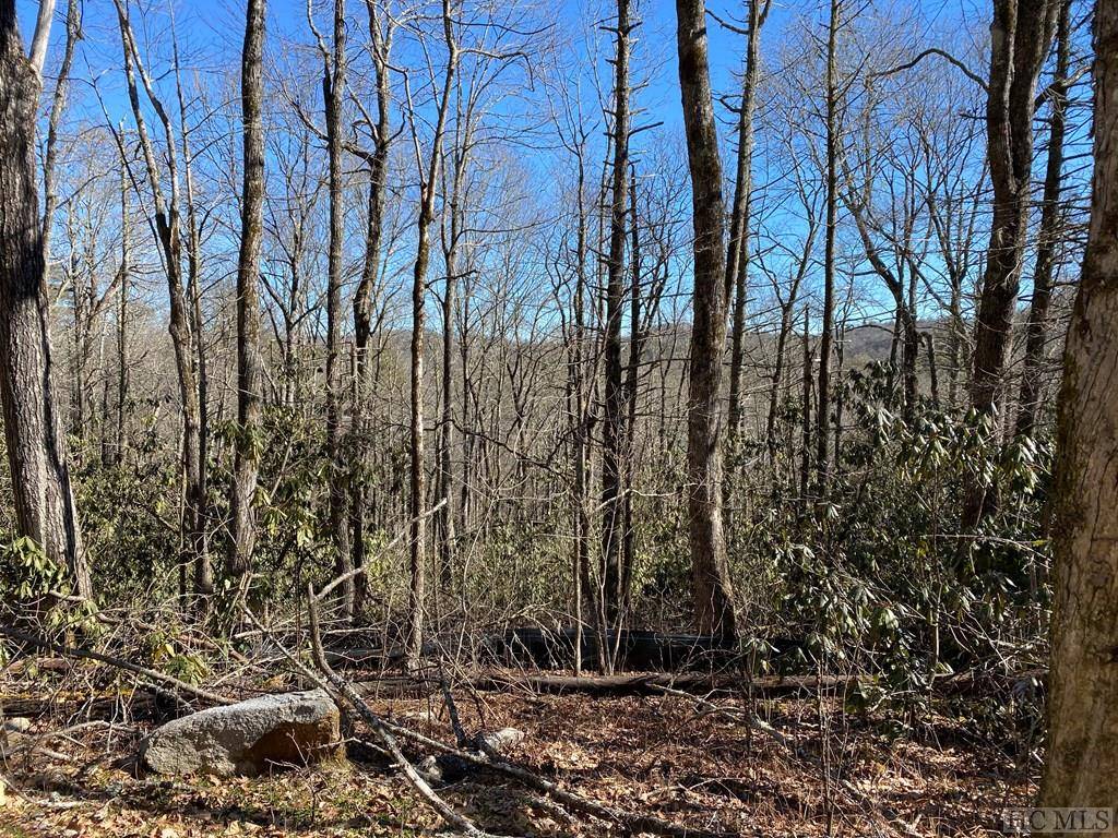 Cashiers, NC 28717,Lot 9 GlenCove Drive