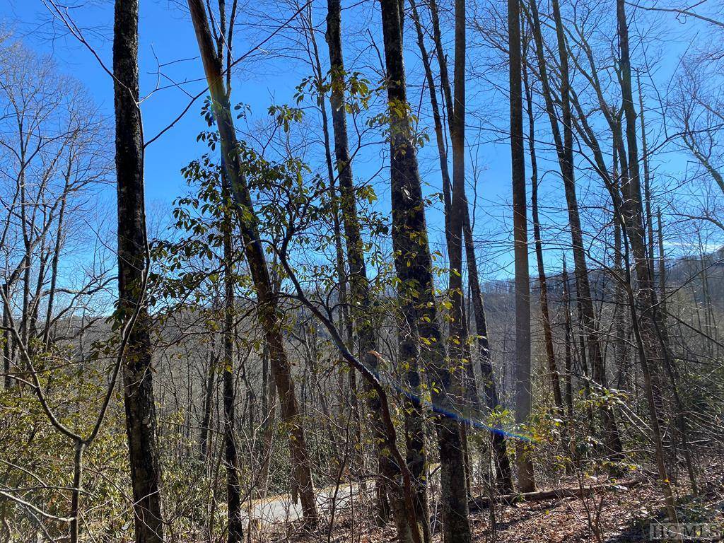 Cashiers, NC 28717,Lot 9 GlenCove Drive