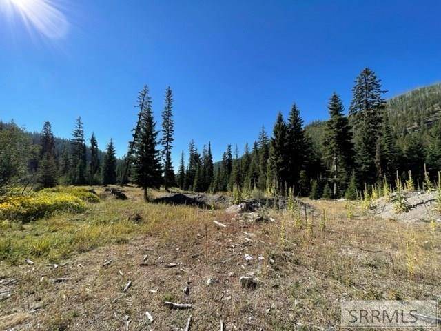 Gibbonsville, ID 83463,Lot 4 Kokopelli Drive