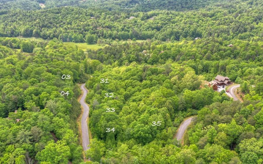 Ellijay, GA 30540,LT 31 Settlers Ridge Road