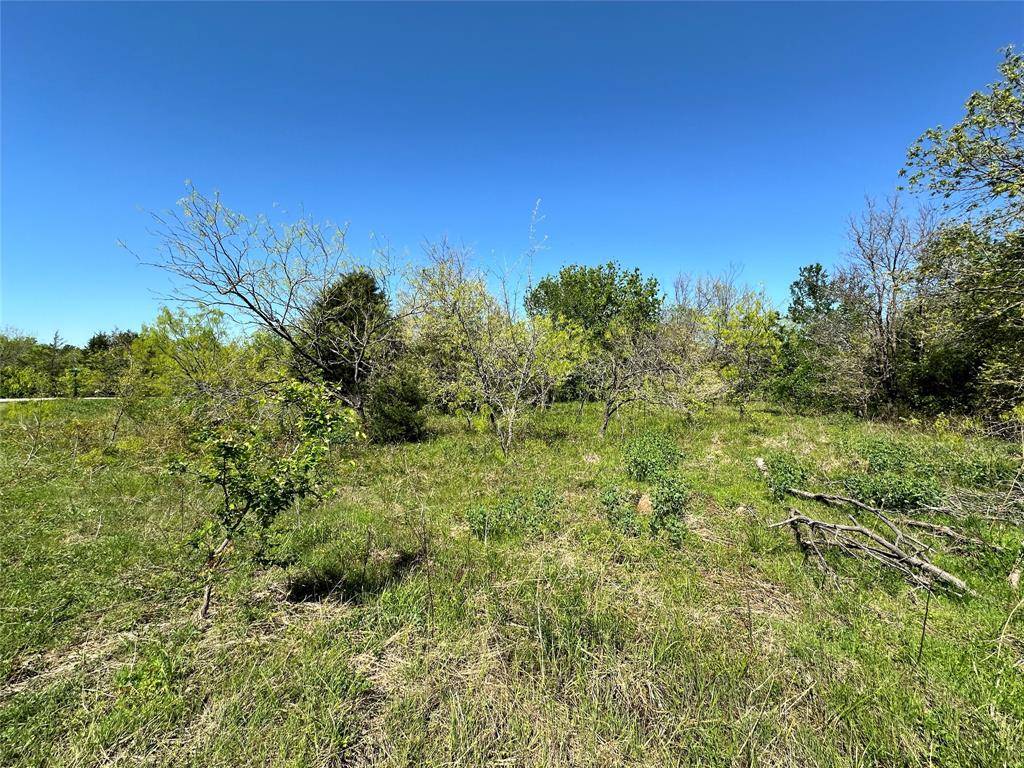 Corsicana, TX 75109,Lot 22 SECR 3048#P