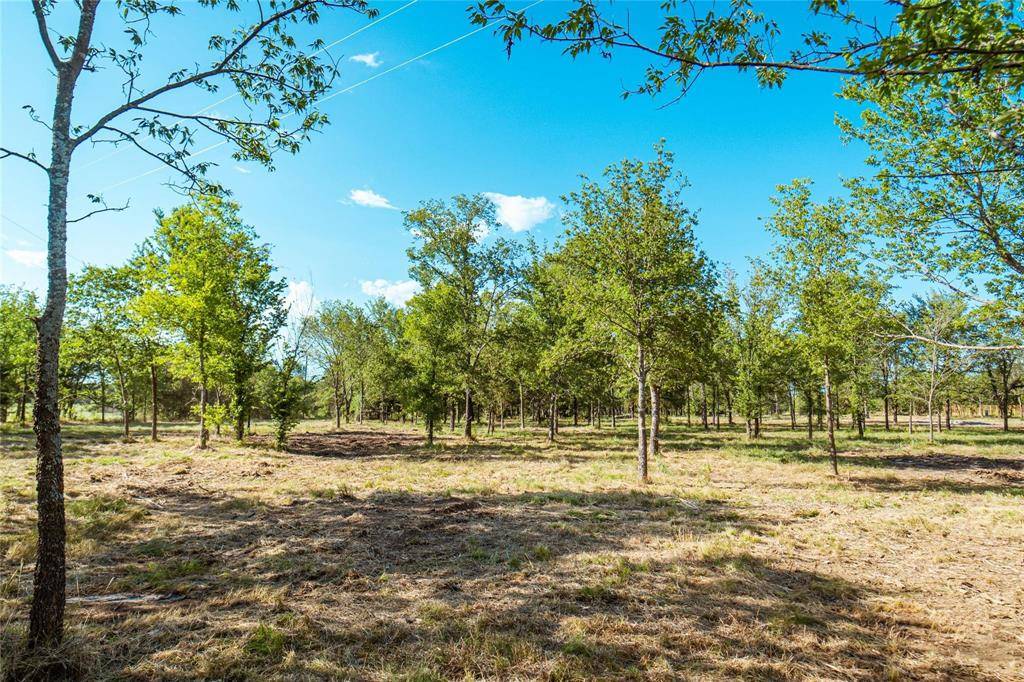 Gainesville, TX 76240,Lot 2 CR 297