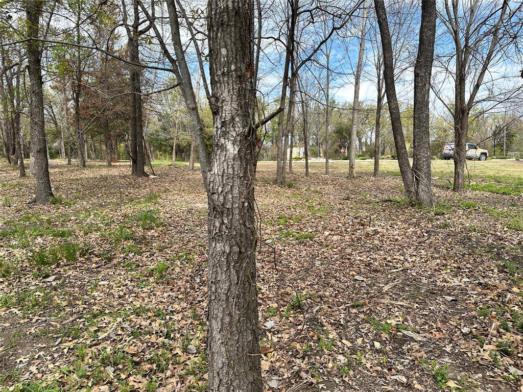 Corsicana, TX 75109,Lot 333 Spur 294