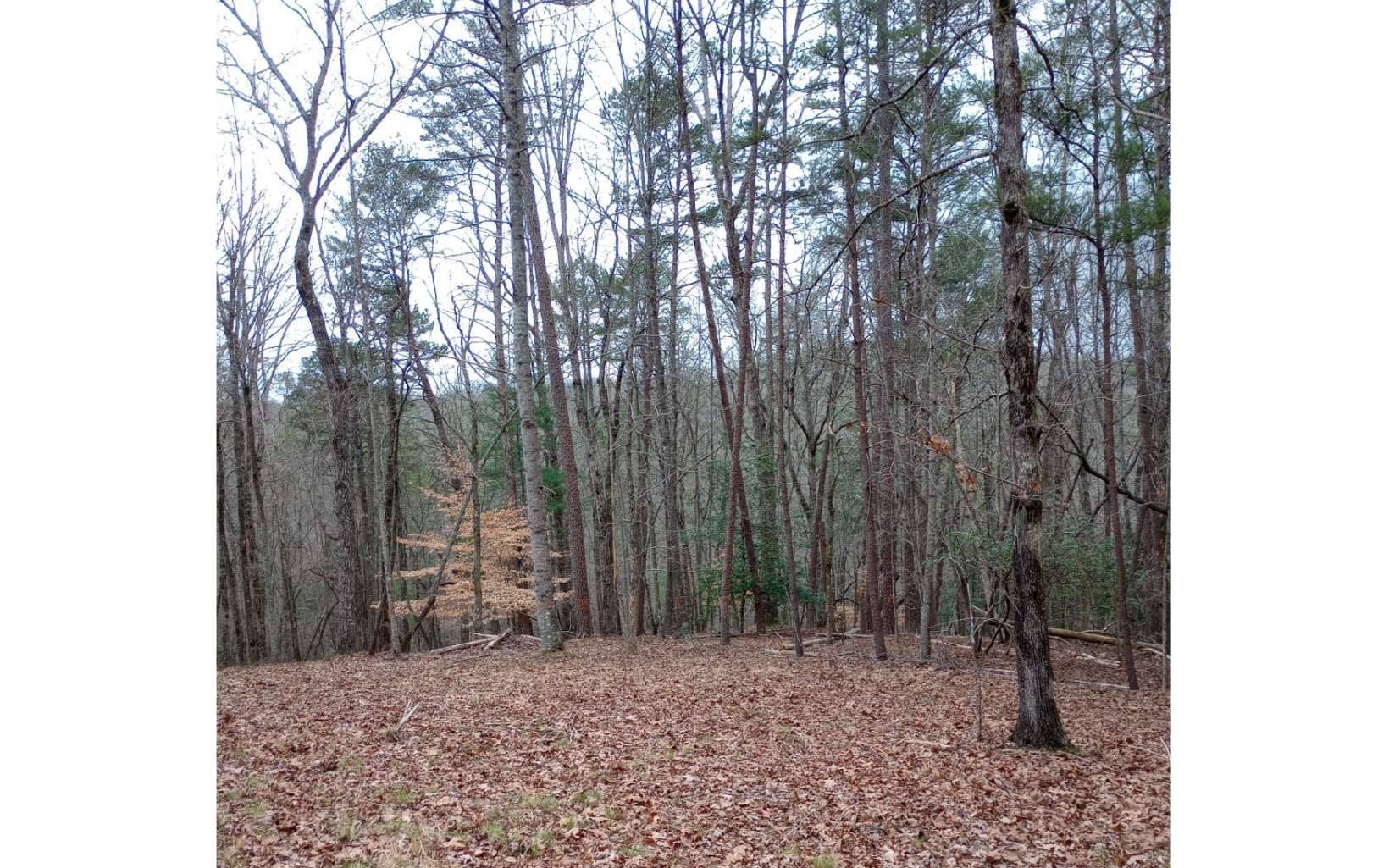 Ellijay, GA 30536,00 Big Creek Road