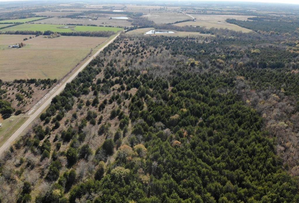 Honey Grove, TX 75446,Lot 9 Farm to Market 1743