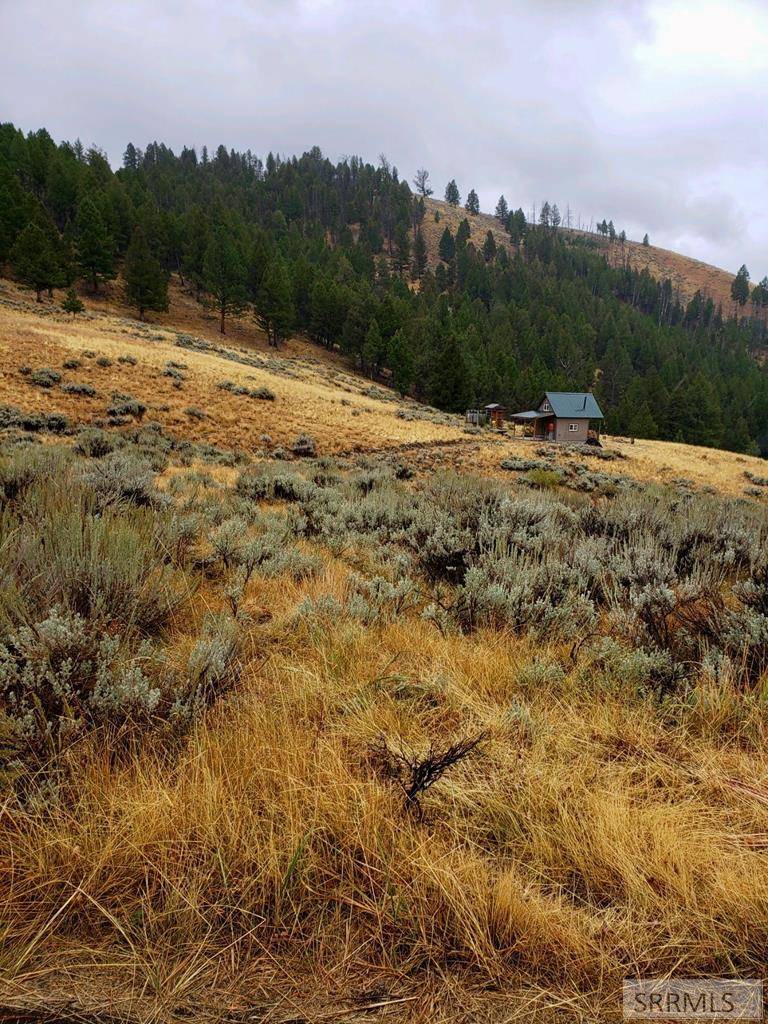 Shoup, ID 83469,53 Panther Creek Estates Road