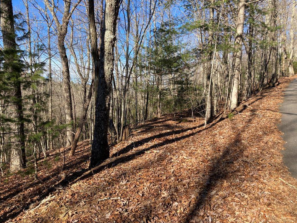 Murphy, NC 28906,Lot 31 High Ridge Road