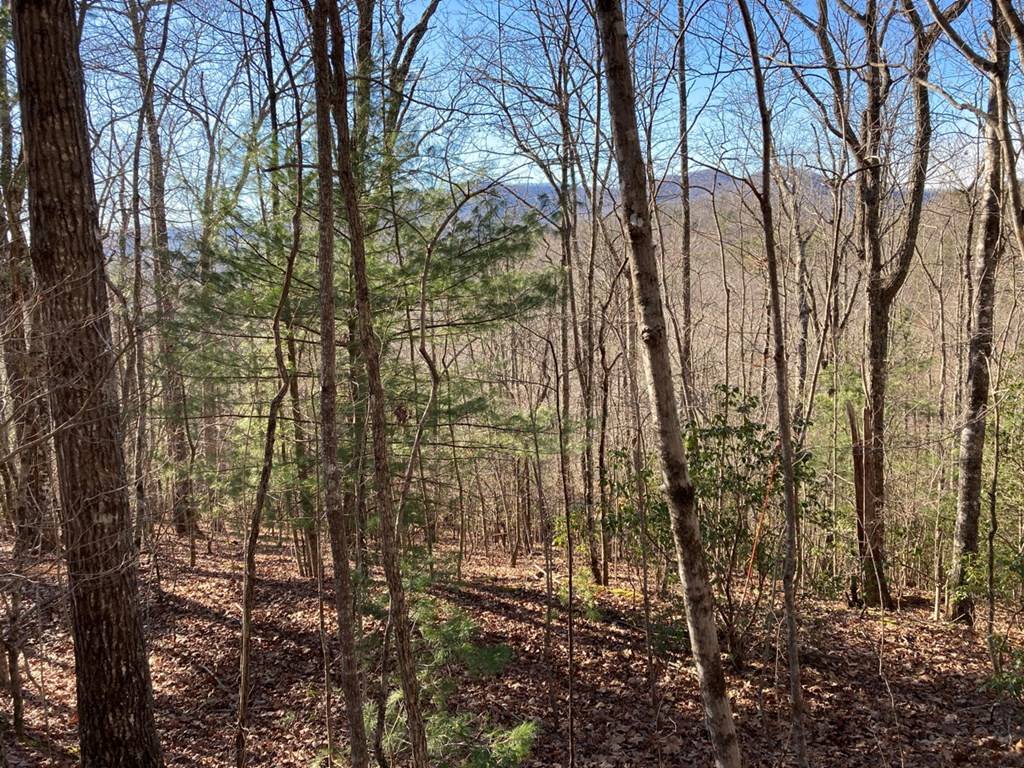 Murphy, NC 28906,Lot 31 High Ridge Road