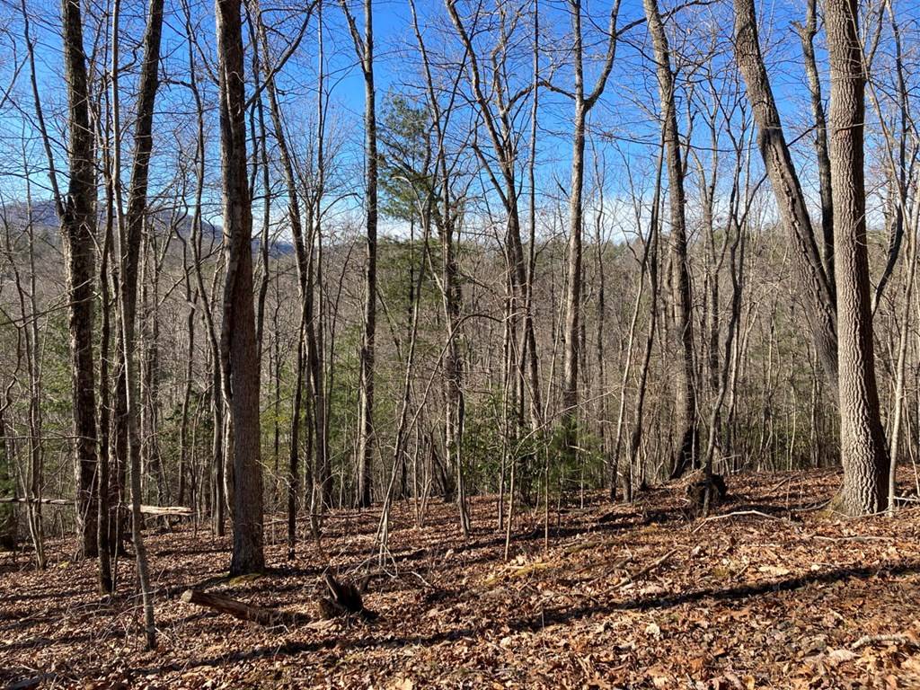 Murphy, NC 28906,Lot 31 High Ridge Road