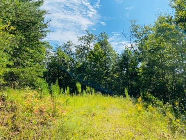 Murphy, NC 28906,Lot 12 Hidden Lane