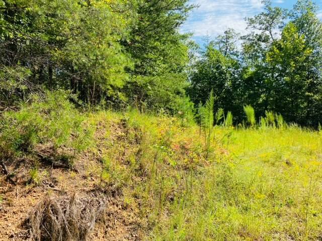 Murphy, NC 28906,Lot 12 Hidden Lane