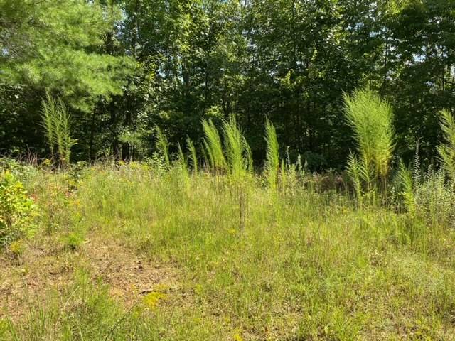 Murphy, NC 28906,Lot 12 Hidden Lane