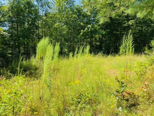 Murphy, NC 28906,Lot 12 Hidden Lane