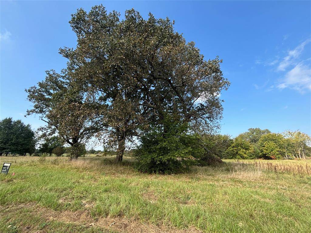 Powderly, TX 75473,3 Lots County Road 44050