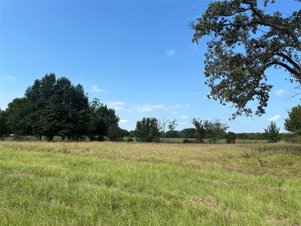 Powderly, TX 75473,3 Lots County Road 44050