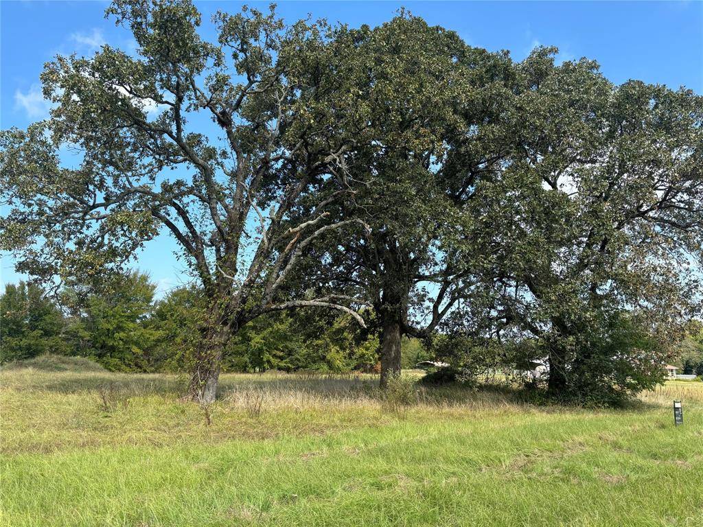 Powderly, TX 75473,3 Lots County Road 44050