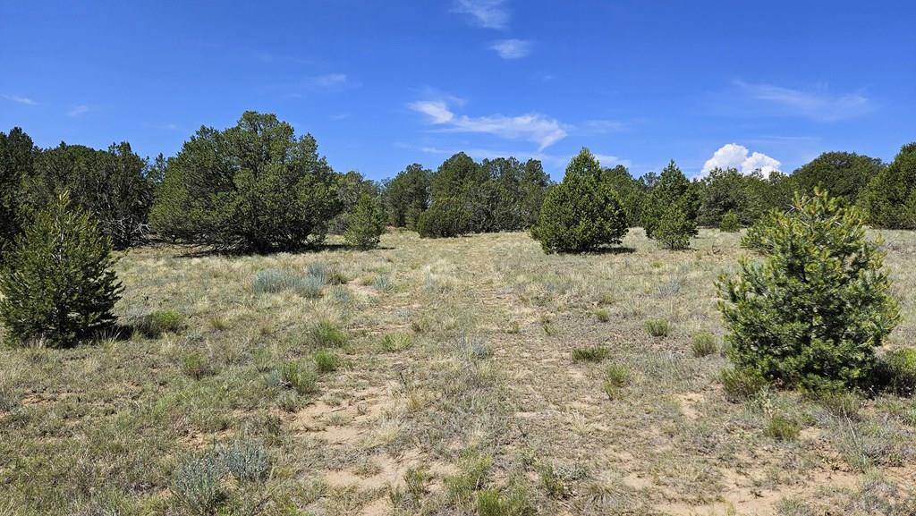 Trinidad, CO 81082,29780 County Rd 16