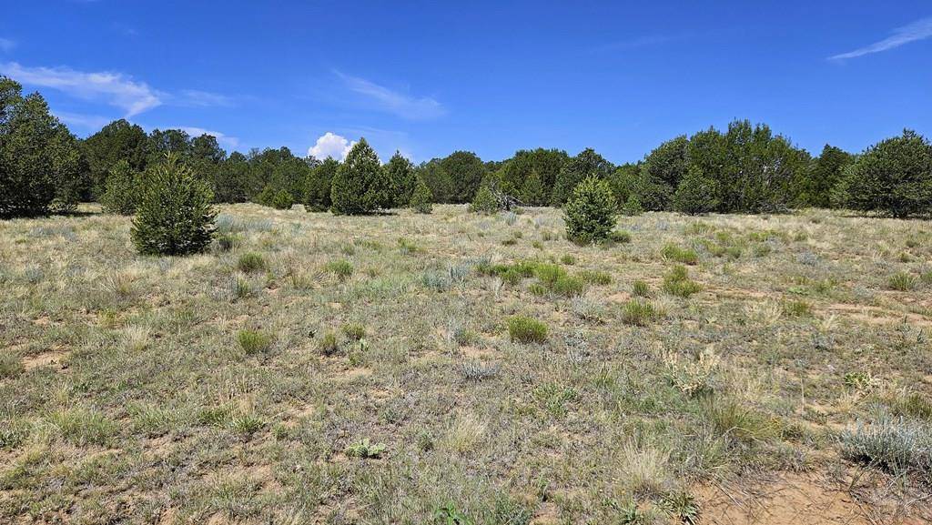 Trinidad, CO 81082,29780 County Rd 16