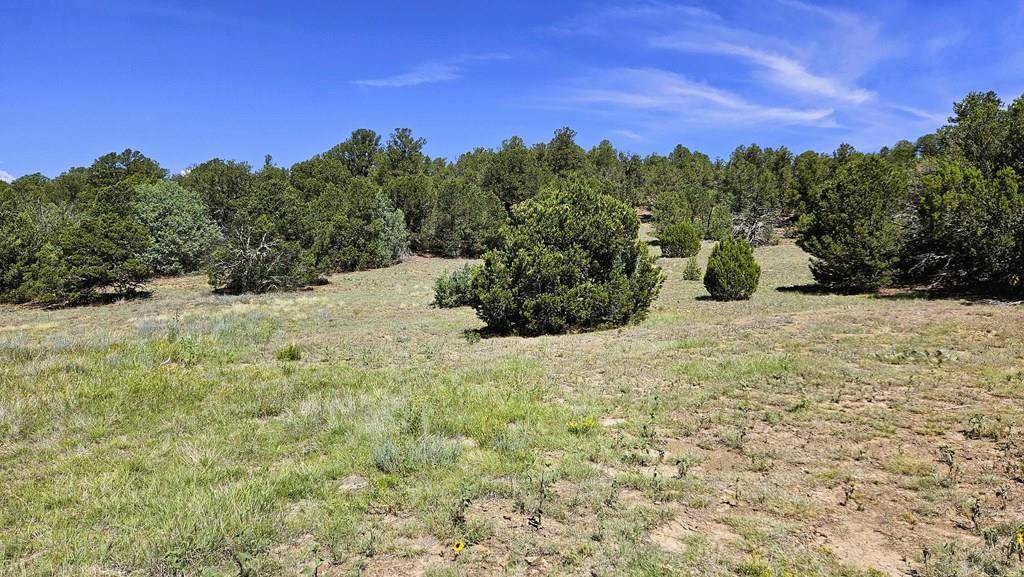 Trinidad, CO 81082,29780 County Rd 16