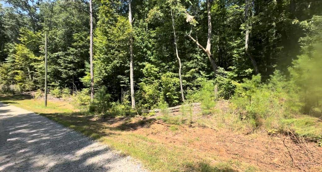 Ellijay, GA 30540,Lot 117 Jumper Drive