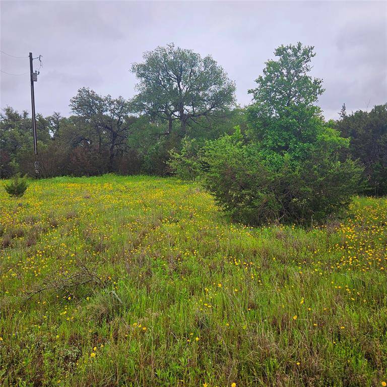 Iredell, TX 76649,tbd Fm-1238