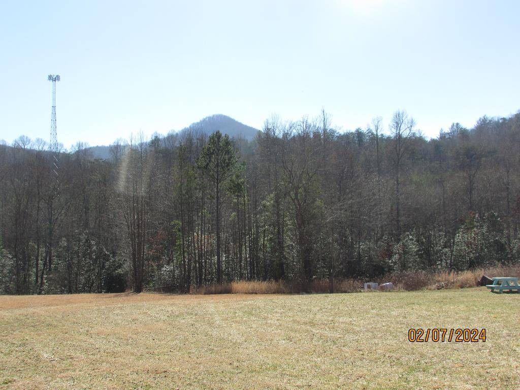 Hiawassee, GA 30546,876 Twin Mountain Road  Tract B