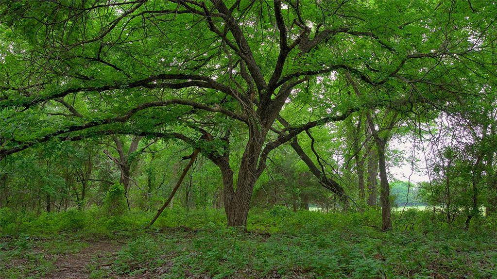 Forestburg, TX 76239,5200 Cr-343