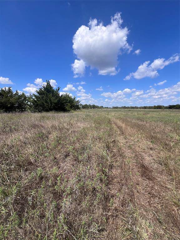 Point, TX 75472,Lot 12 Rs County Road 4500