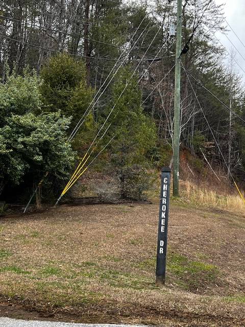 Ellijay, GA 30540,Lot 156 Etowah Drive