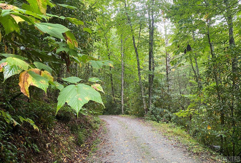 Glenville, NC 28736,Lot F114 Tremble Ridge Road