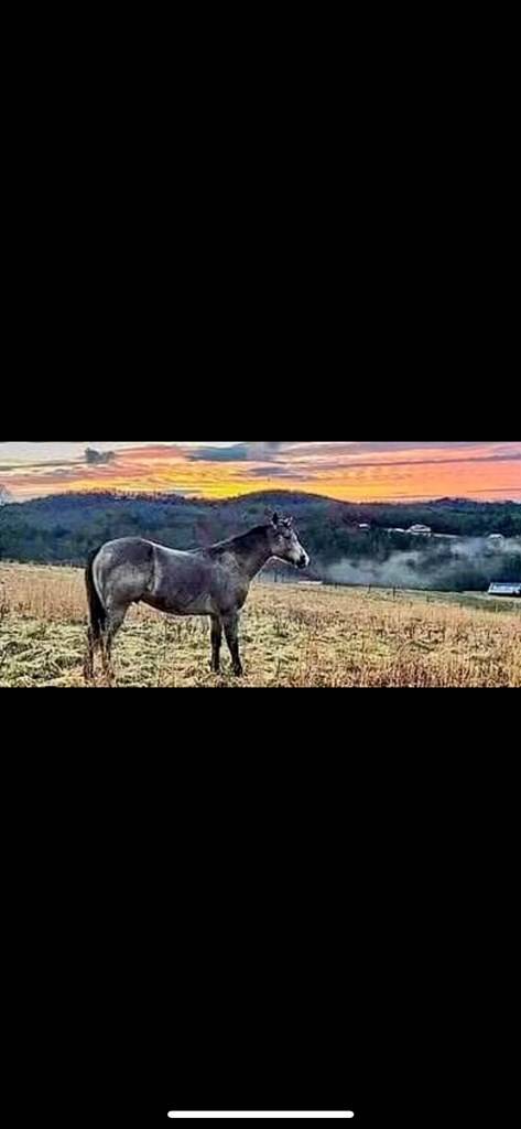 Blairsville, GA 30512,0 Smoke Rise Ridge